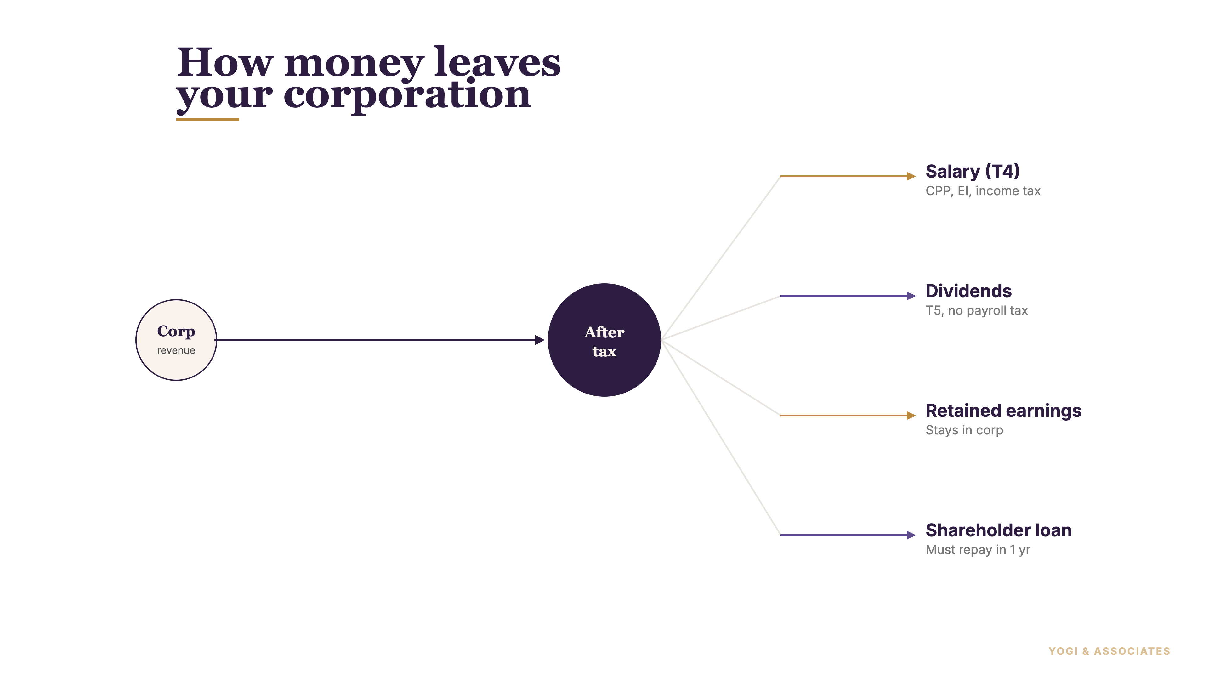 How money leaves an Ontario corporation: after-tax revenue splits into salary (T4, with CPP and EI), dividends (T5, no payroll tax), retained earnings, and shareholder loans that must be repaid within one year